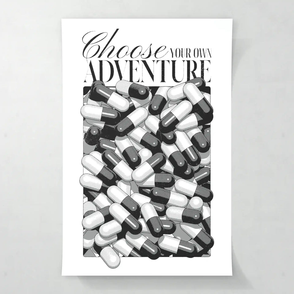Choose your own adventure - Poster - Matte